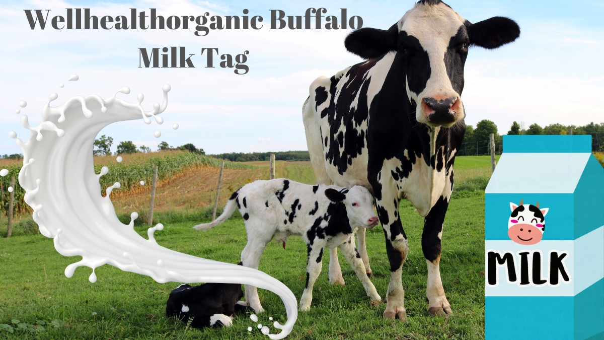 Wellhealthorganic Buffalo Milk Tag